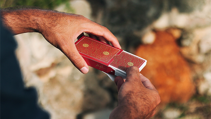 Visa Red