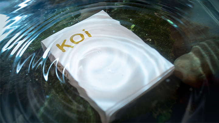 Koi V2