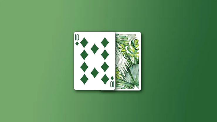 Monstera Green