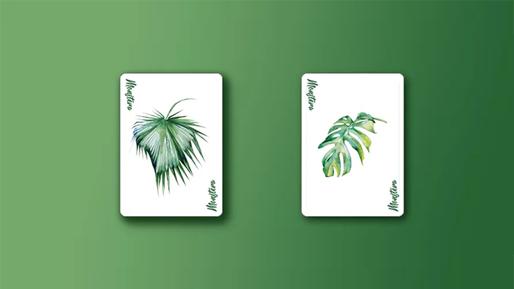 Monstera Green