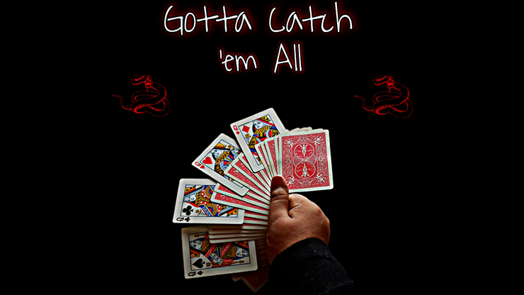 Gotta Catch &