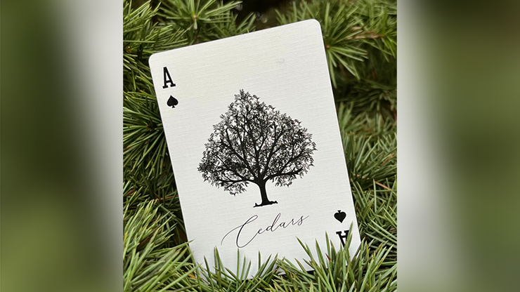 Cedar