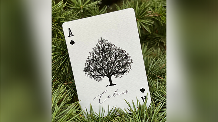 Cedar