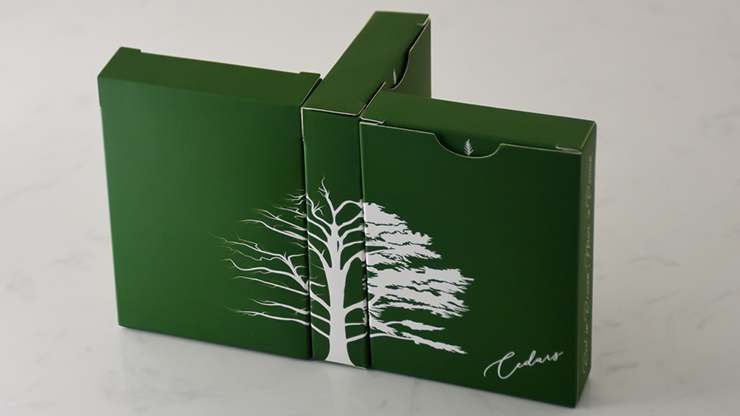 Cedar