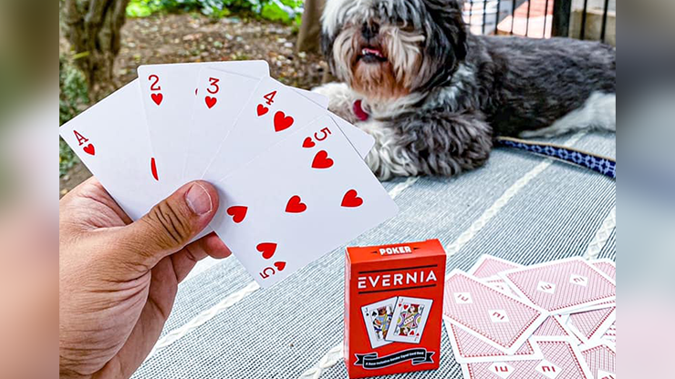 Evernia