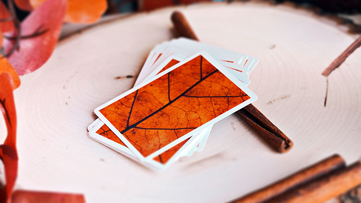 MYNOC: Leaf