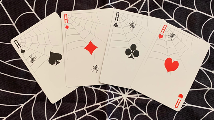 Spider