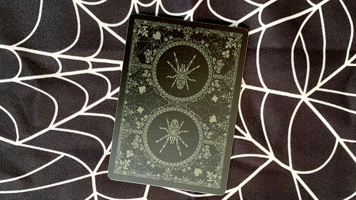 Spider