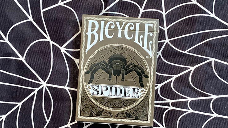 Spider