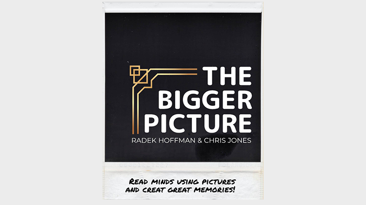 THE BIGGER PICTURE