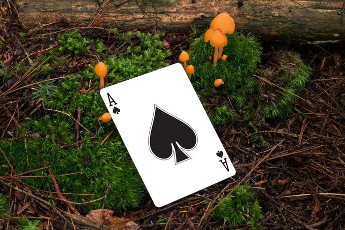 Dr. Leon Playing Cards Burgundy Edition