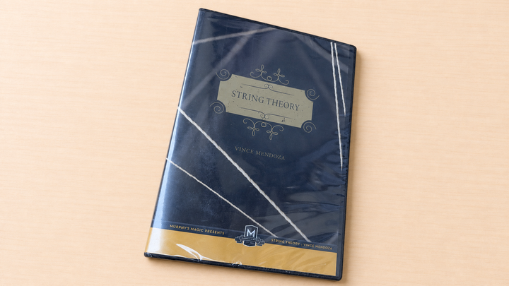 ストリング・セオリー（String Theory）ＤＶＤ（素材付き）～新時代のジプシーヤーン・ジプシースレッド！～