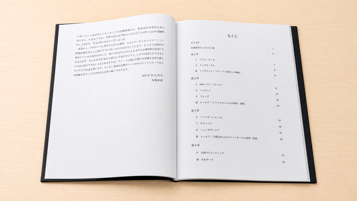 【待望の2冊目！】The Amazing Sally Volume 2（アメージングサリー第２巻）～佐藤喜義作品集・第2弾！～