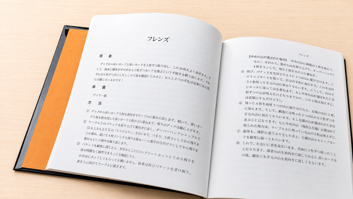 【待望の2冊目！】The Amazing Sally Volume 2（アメージングサリー第２巻）～佐藤喜義作品集・第2弾！～