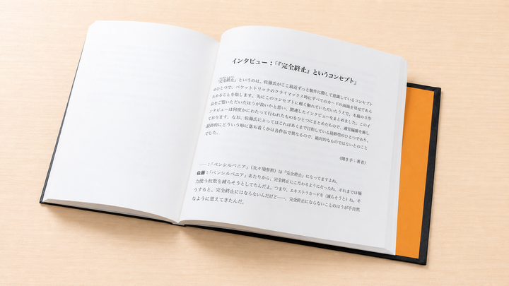 【待望の2冊目！】The Amazing Sally Volume 2（アメージングサリー第２巻）～佐藤喜義作品集・第2弾！～