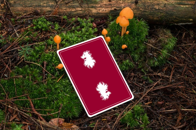 Dr. Leon Playing Cards Burgundy Edition