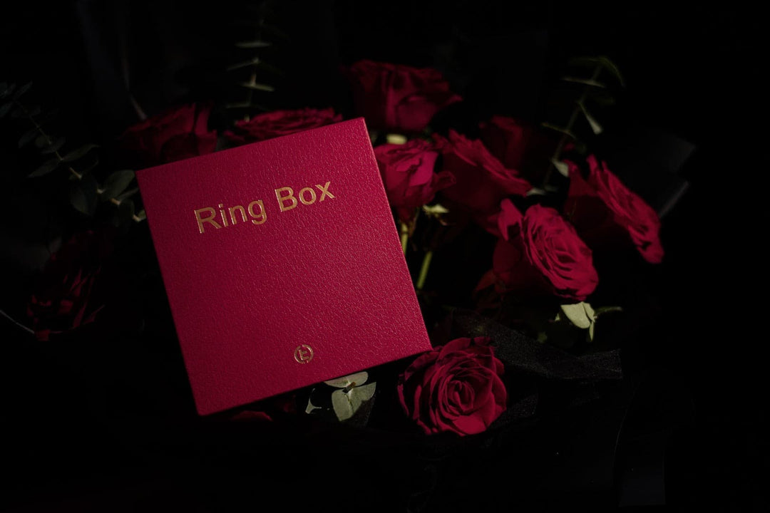 廃盤品につき再入荷不可 【AI翻訳日本語字幕サービス】The Magic Ring Box