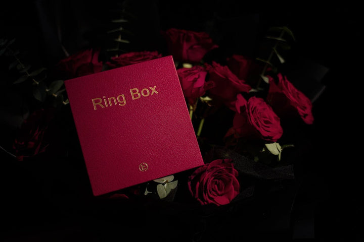廃盤品につき再入荷不可 【AI翻訳日本語字幕サービス】The Magic Ring Box