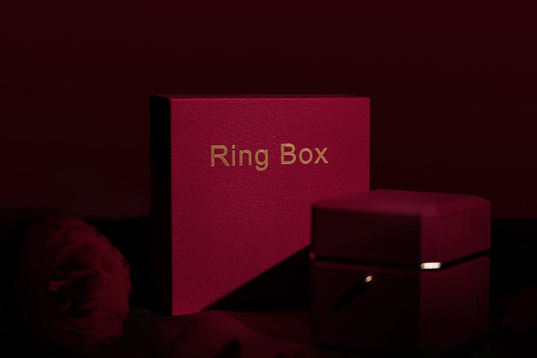廃盤品につき再入荷不可 【AI翻訳日本語字幕サービス】The Magic Ring Box
