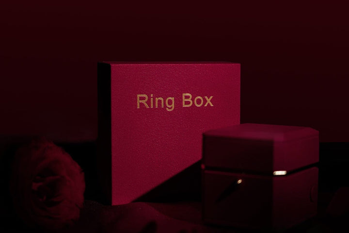 廃盤品につき再入荷不可 【AI翻訳日本語字幕サービス】The Magic Ring Box