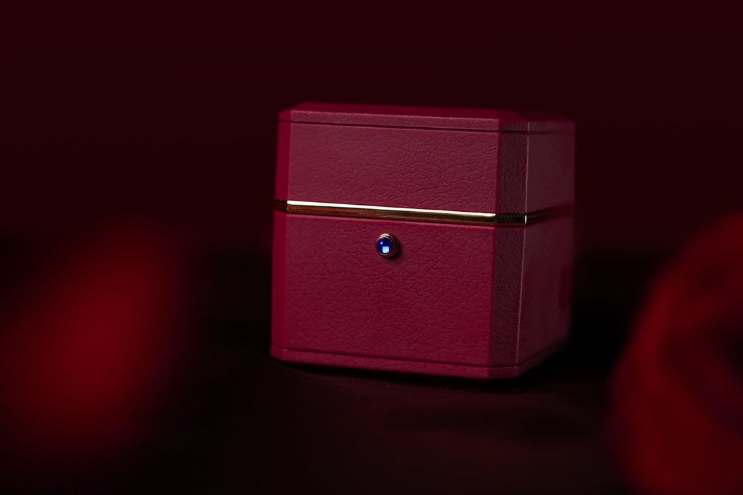 廃盤品につき再入荷不可 【AI翻訳日本語字幕サービス】The Magic Ring Box