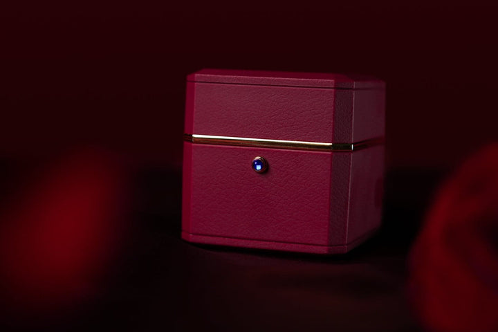 廃盤品につき再入荷不可 【AI翻訳日本語字幕サービス】The Magic Ring Box