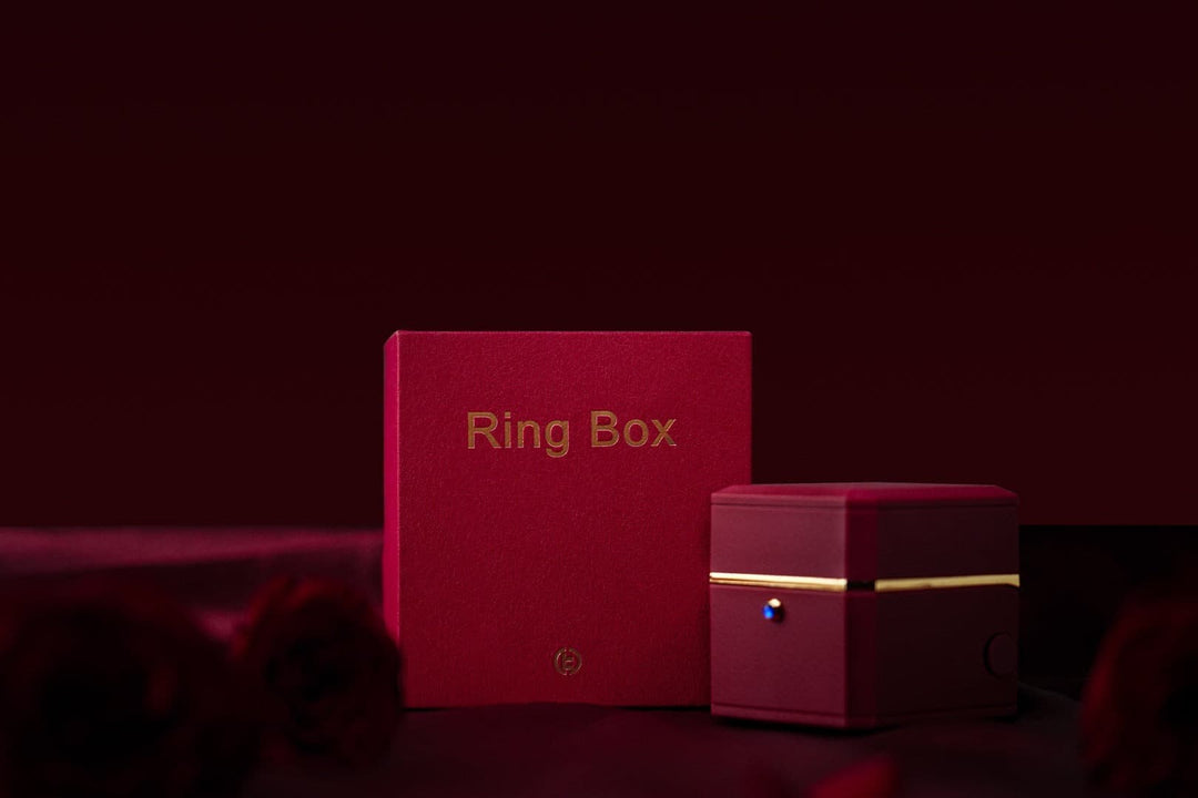 廃盤品につき再入荷不可 【AI翻訳日本語字幕サービス】The Magic Ring Box