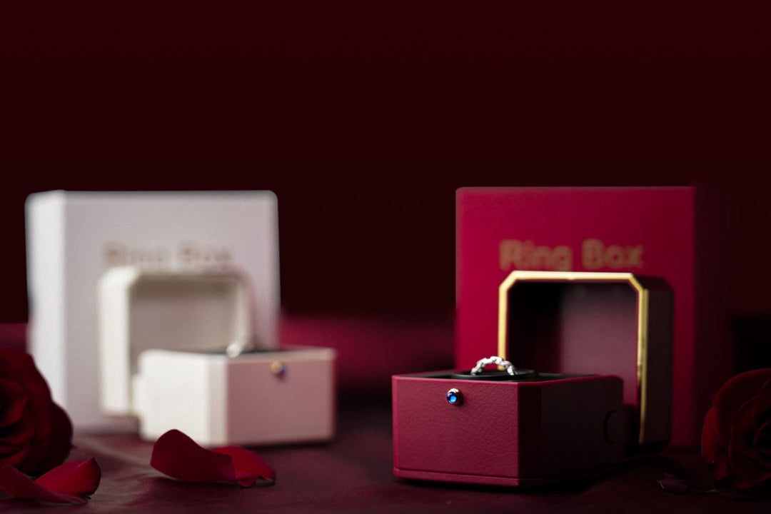 廃盤品につき再入荷不可 【AI翻訳日本語字幕サービス】The Magic Ring Box
