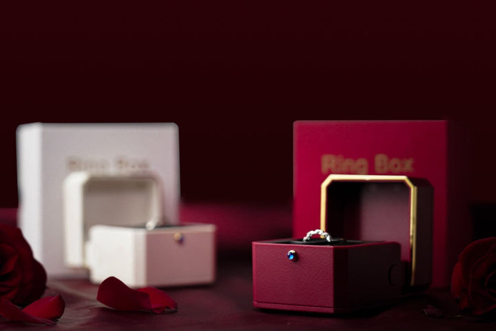 廃盤品につき再入荷不可 【AI翻訳日本語字幕サービス】The Magic Ring Box