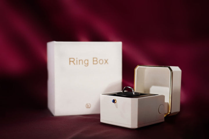 廃盤品につき再入荷不可 【AI翻訳日本語字幕サービス】The Magic Ring Box