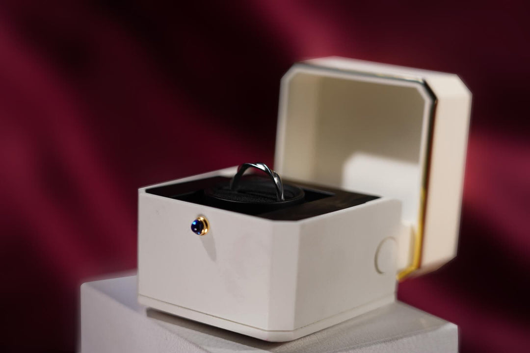廃盤品につき再入荷不可 【AI翻訳日本語字幕サービス】The Magic Ring Box