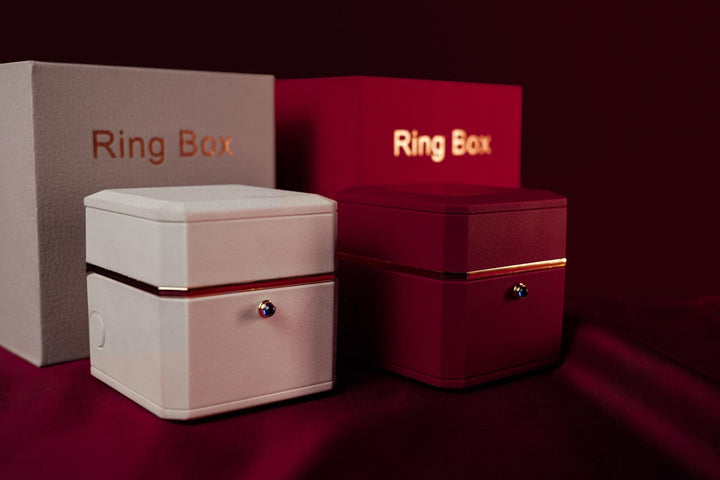 廃盤品につき再入荷不可 【AI翻訳日本語字幕サービス】The Magic Ring Box