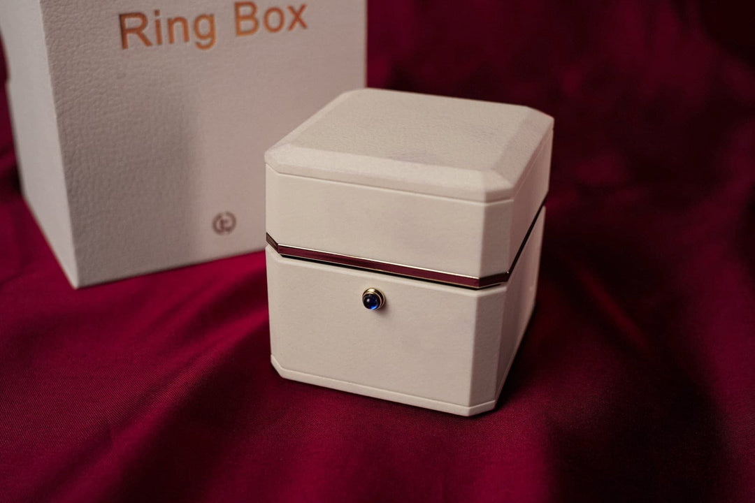 廃盤品につき再入荷不可 【AI翻訳日本語字幕サービス】The Magic Ring Box